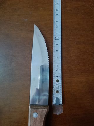 Set 4 coltelli da bistecca in acciaio inox
