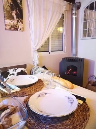 Chimenea de leña y pellets