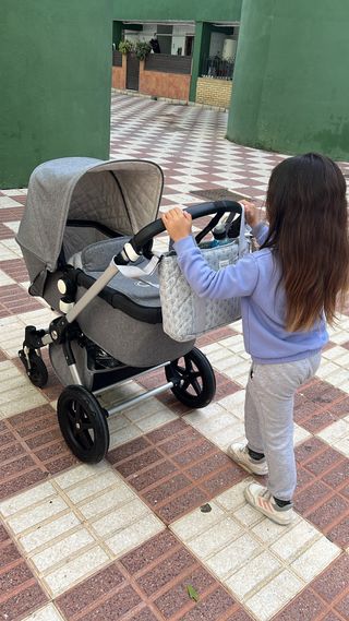 Carro bugaboo camaleon 3 
