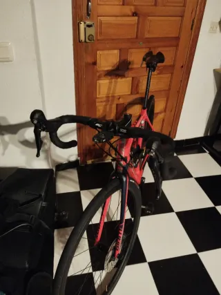 Bicicleta giant carbono