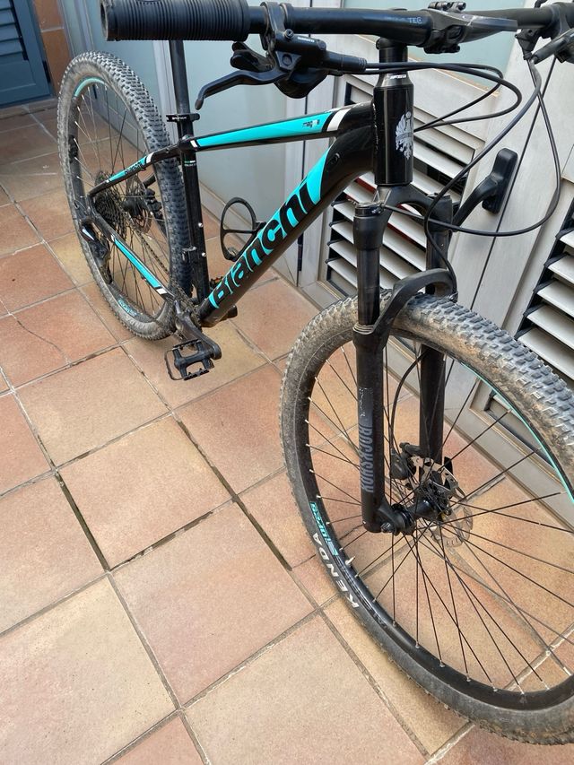 Bianchi magma