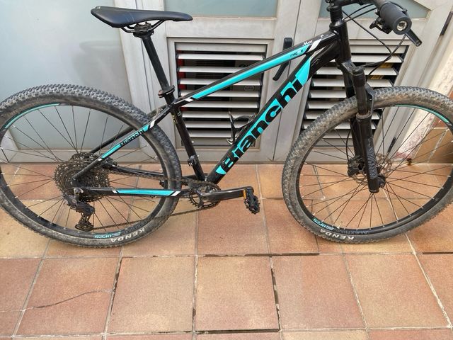 Bianchi magma