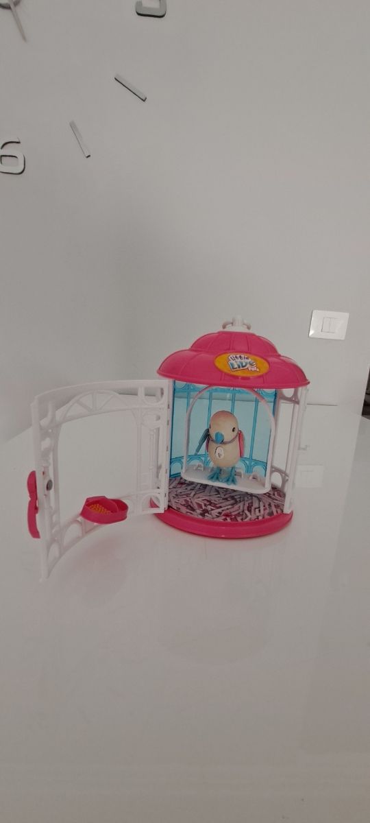 Jaula pajaro parlanchin.