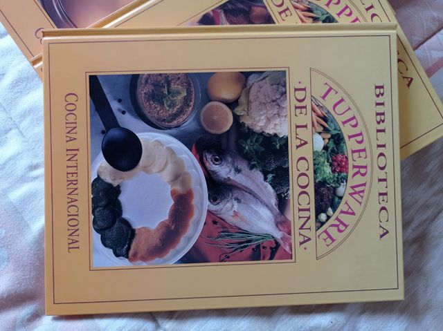 Biblioteca Tupperware de la cocina. Cocina de todos los días