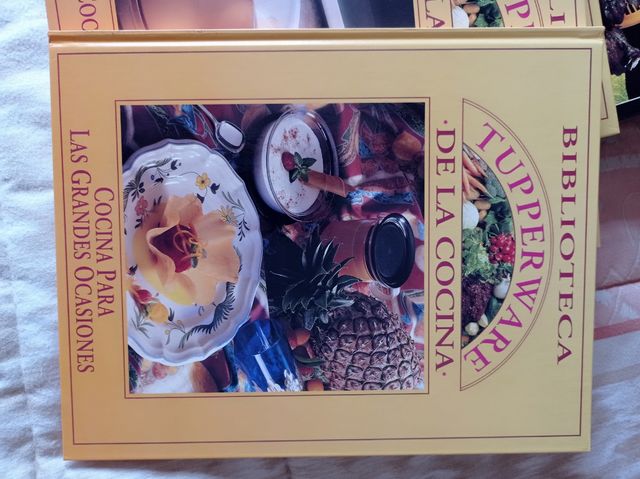 Biblioteca Tupperware de la cocina. Cocina de todos los días