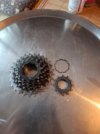 Piñon 7v cassette mtb