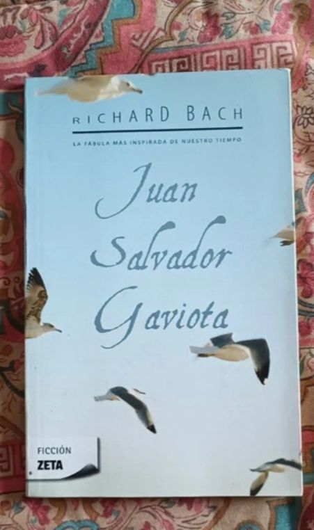 Juan salvador gaviota