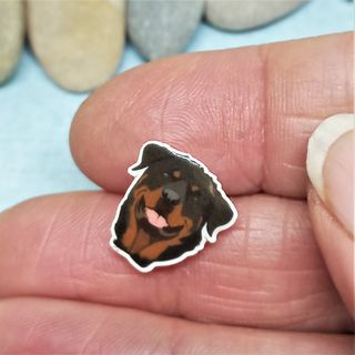 Originales pendientes de boton de perro Rottweiler