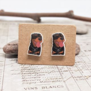 Originales pendientes de boton de perro Rottweiler