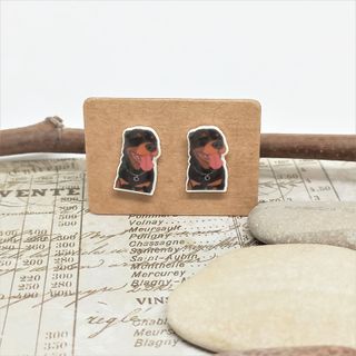 Originales pendientes de boton de perro Rottweiler