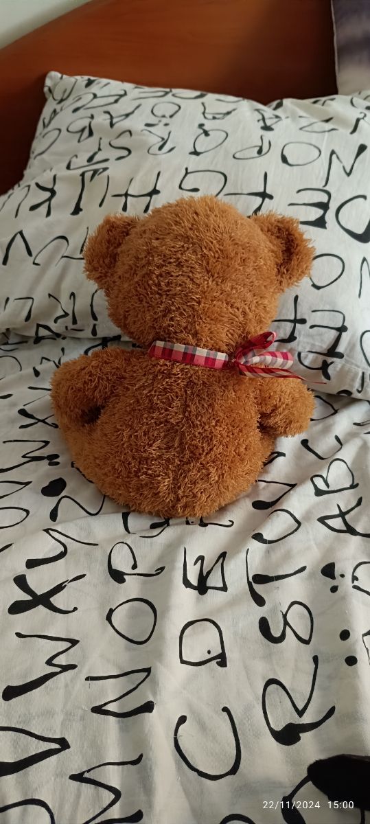 Oso de peluche 