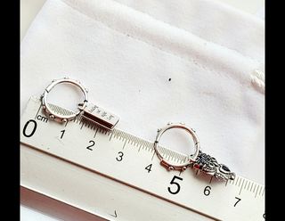 Pendientes Argoolas plata de ley con charms