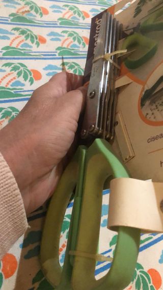 Forbici per prezzemolo