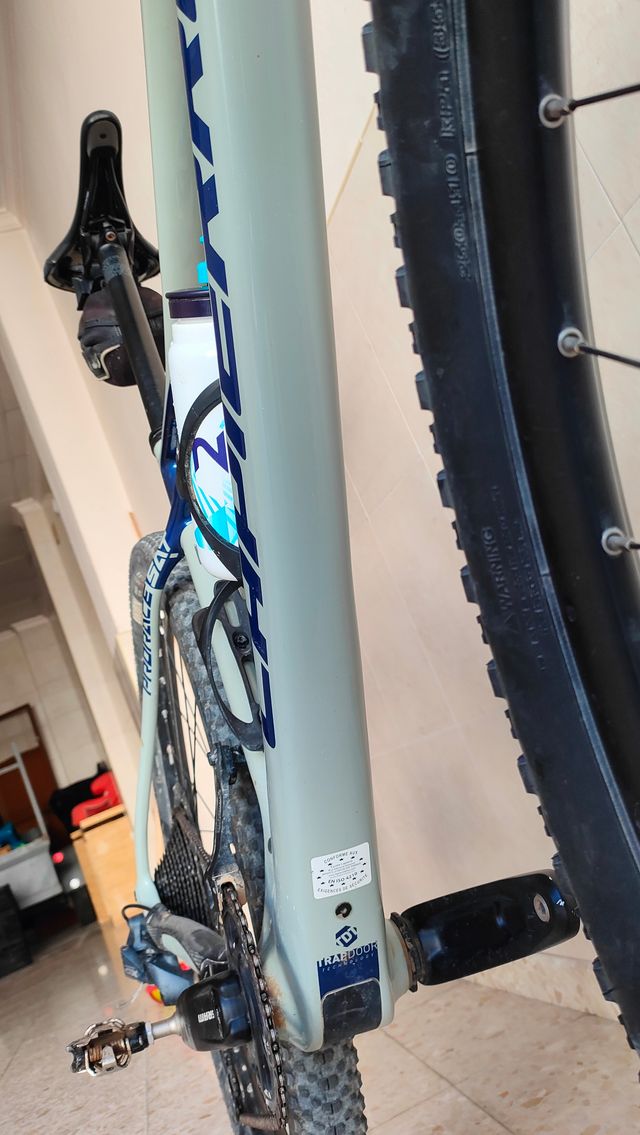 Bici carbono 29