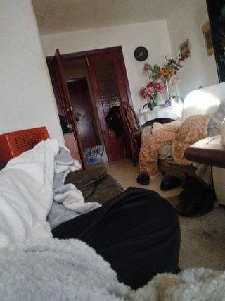 manguito antivibratorio DN 65 PN 10