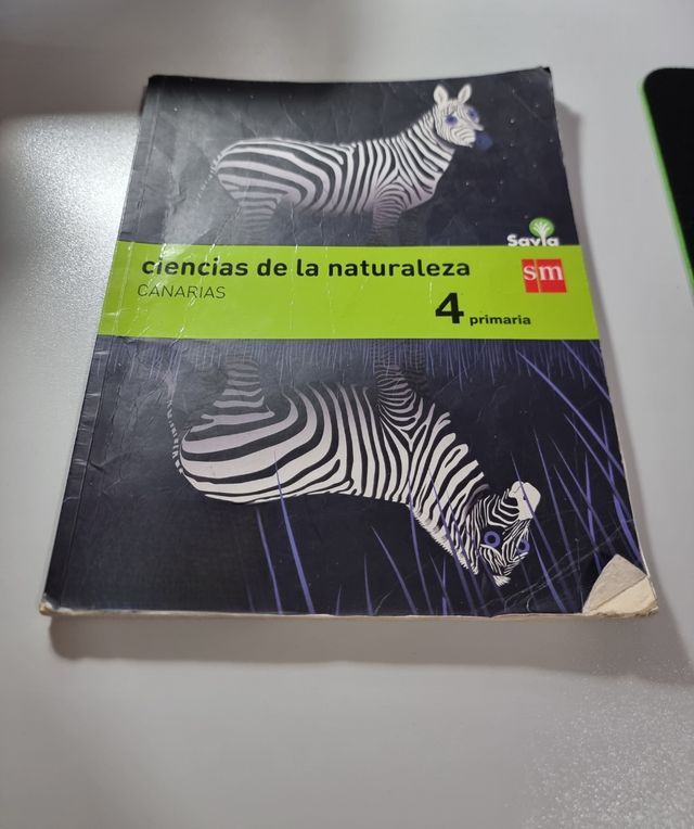 Libros de Texto Escolares 4°Primaria, SM