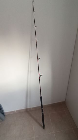 Caña de pescar Lineaeffe Cromo Jigging