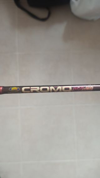 Caña de pescar Lineaeffe Cromo Jigging