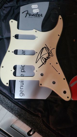 Golpeador Fender Firmado Steve Harris