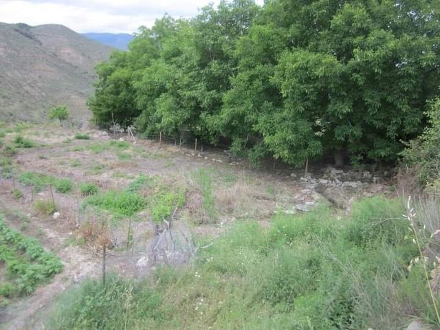 Casa y terrenos cultivo y huertos