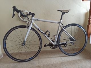 Giant TCR 