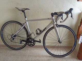 Giant TCR 