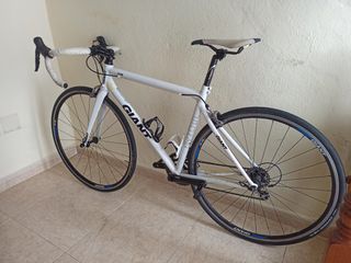 Giant TCR 