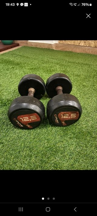 2 MANCUERNAS 12,5KG 