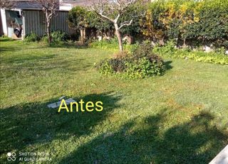 Mantenimiento de jardines césped artificial 