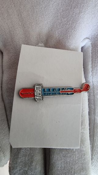 Lote de 32 pins y chapas