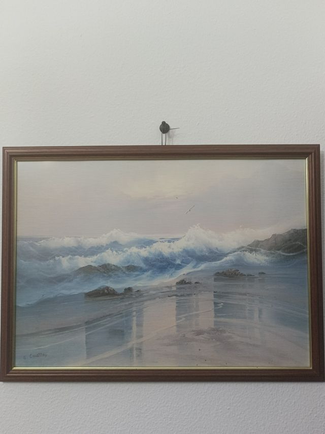 Lámina Marina de G .Cousteau