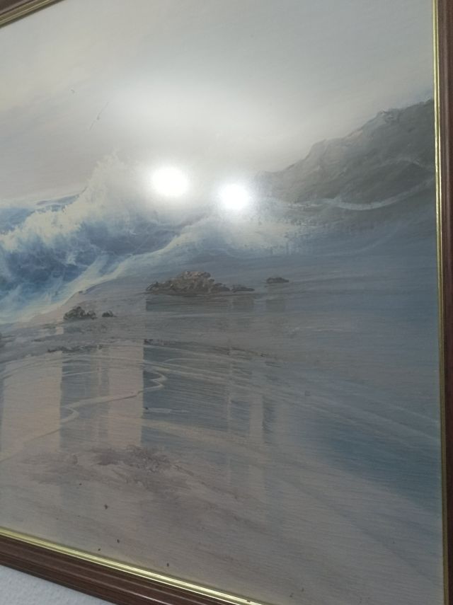 Lámina Marina de G .Cousteau