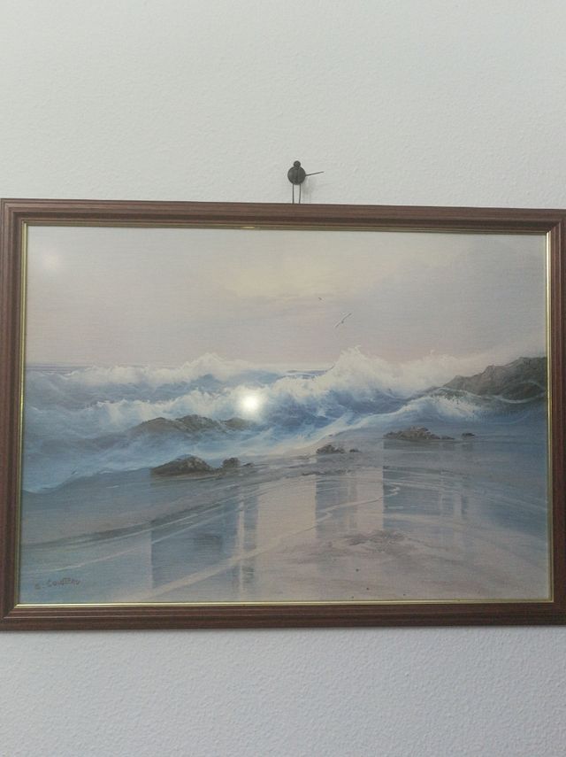 Lámina Marina de G .Cousteau