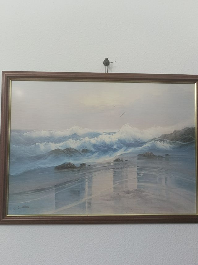 Lámina Marina de G .Cousteau