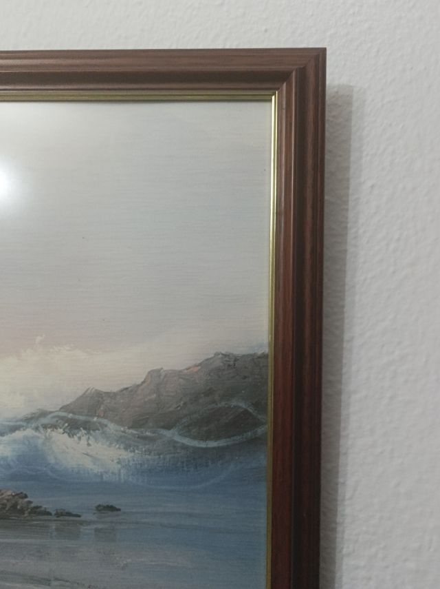 Lámina Marina de G .Cousteau