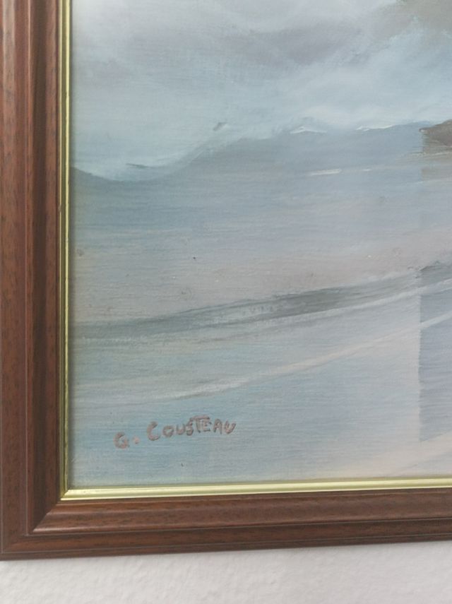 Lámina Marina de G .Cousteau