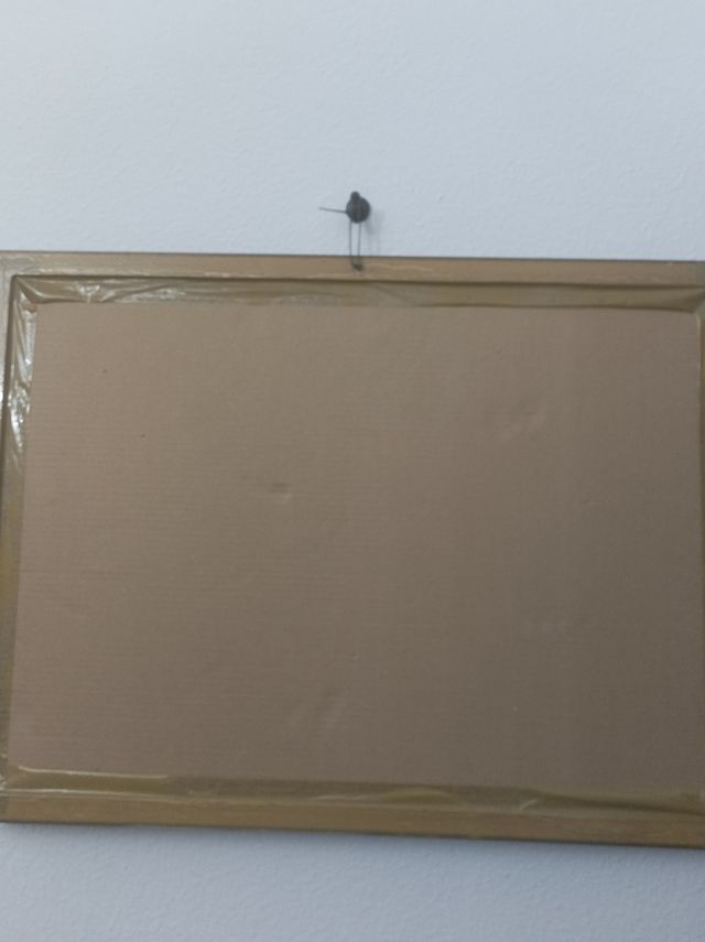 Lámina Marina de G .Cousteau