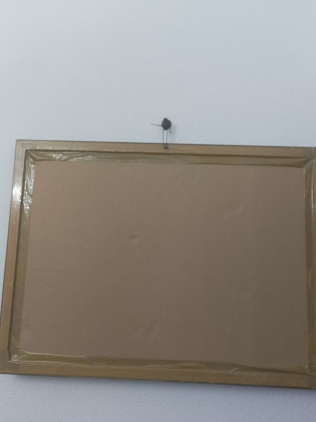 Lámina Marina de G .Cousteau