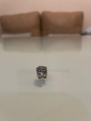 Charms Pandora.