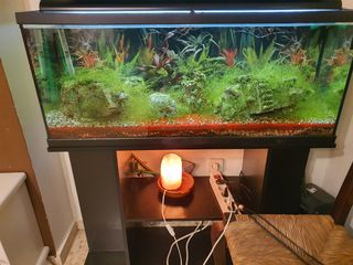 Acuario 200l con mueble .