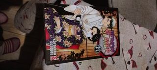 Demon Slayer n21 Nuovo 