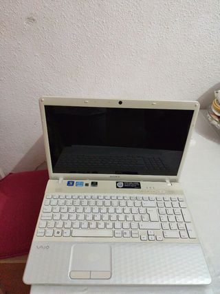 Ordenador Sony Vaio 