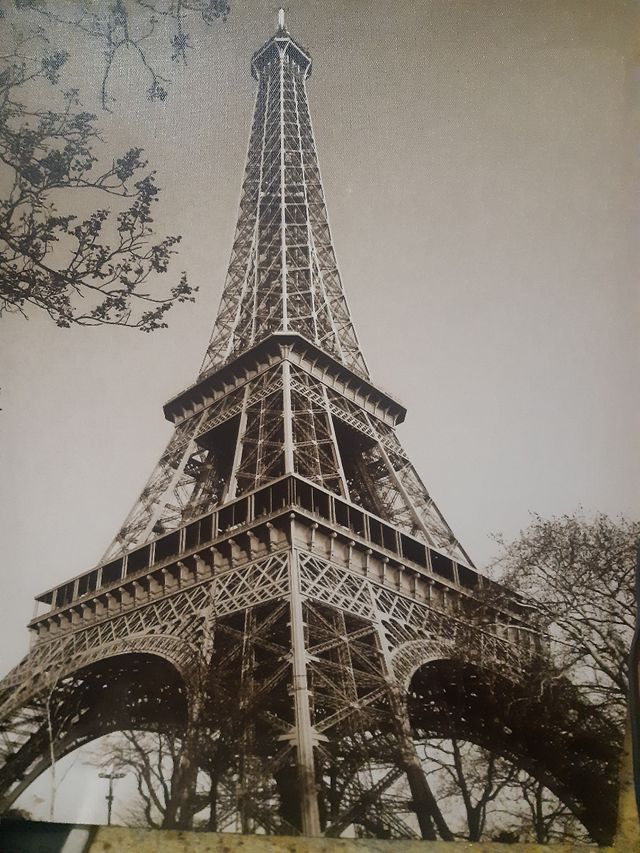Lienzo de París