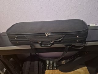 VIOLA 15"