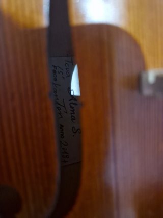 VIOLA 15"