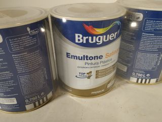 Pintura plástica Bruger emultone