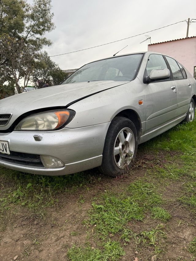 Despiece Nissan Primera