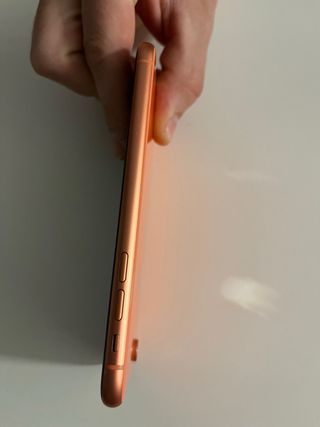 Iphone XR corallo