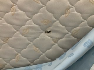 Cama vintage de 80x180