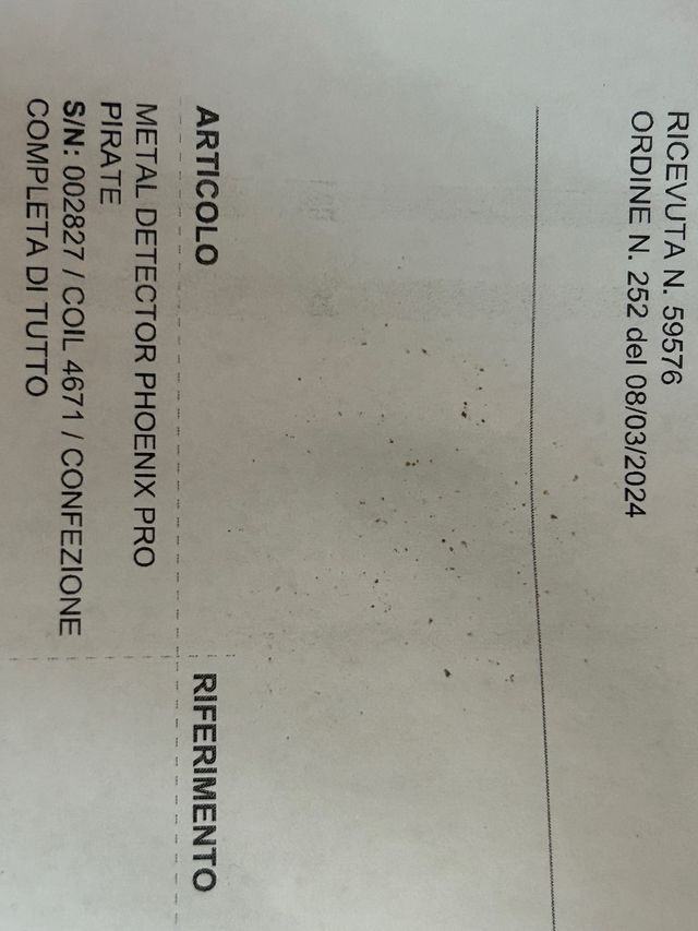 Metal detector Pirate Phoenix Pro